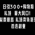 日引300+购物粉，超级裂变思路，私域卖货新玩法，小红书首选副业