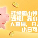 挂缘圈小铃铛无版权违规！靠小猪佩奇无人直播，日入500+，小白可操作