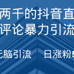 抖音直播间无限评论引脚本，抖音直播间引流截流工具，无脑引流日涨粉500+