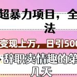 超暴利项目，全新玩法（辞职卖情趣的第几天），七天变现上万，日引500+粉