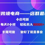 （9060期）东南亚跨境电商店群新玩法2—小白每天两小时 轻松10000+