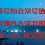 （9059期）视频号和公众号结合打造月入过万的小说cps推文项目