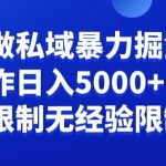 负债粉私域暴力掘金，小白操作入5000，无经验限制，无条件限制