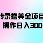 翻译转录撸美金项目，轻松操作日入300+