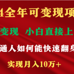 （9045期）2024全年可变现项目，一天收益至少2000+，小白上手快，普通人就要利用互…