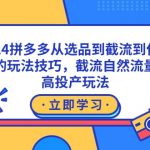 （9037期）2024拼多多从选品到截流到付费的玩法技巧，截流自然流量玩法，高投产玩法