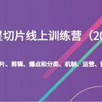 明星切片线上训练营（2023）如何去拆片、剪辑、爆点和分类、机制、运营、数据分析