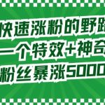 两个快速涨粉的野路子，一个特效+神奇布偶，粉丝暴涨5000起
