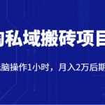 价值2980的淘私域搬砖项目，每天无脑操作1小时，月入2万后期躺赚