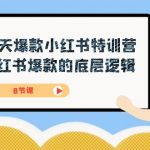 21天-爆款小红书特训营，小红书爆款的底层逻辑（8节课）