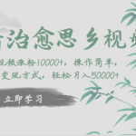 抖音治愈思乡视频，一条视频涨粉1W+，操作简单，多种变现方式，轻松月入5W+