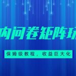 保姆级教程，国内问卷矩阵玩法，轻松赚收益