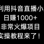 （8870期）如何利用抖音直播小游戏日赚1000+，非常火爆项目，实操教程来了！