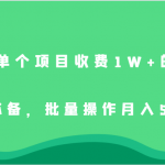 外面单个项目收费1W+的项目，小白必备，批量操作月入5000+