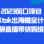 2023风口项目TIKtok出海掘金计划短视频直播带货跨境电商
