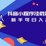 抖音小程序挂载风行视频变现项目日入200+