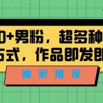 独家推荐！日引300+精准男性粉丝，分类风格视频新玩法2.0！变现超级快