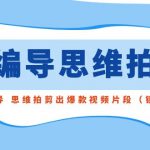 （8785期）用编导的思维拍剪，教你用编导 思维拍剪出爆款视频片段（镜头语言）