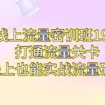 线上流量密训班19.0，打通流量关卡，线上也能实战流量破局