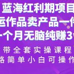 蓝海红利期项目，搬运作品卖产品一件9.9，一个月无脑纯赚3w+！（全套实操课程）