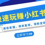 （8439期）新赛道·快速玩赚小红书：通俗易懂，简单直观，涨粉变现（35节课）