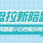 （8329期）网盘拉新陪跑班，零基础小白也能玩转网盘拉新