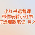 小红书运营课，带你玩转小红书，轻松打造爆款笔记 月入过万