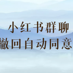 小红书群聊自动撤回、自动同意进群插件 （防截流）