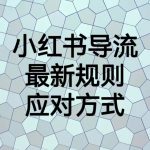 小红书导流最新规则应对方式，新规以后目前还可用的引流方式解读