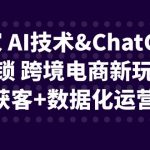 独家 AI技术&ChatGPT解锁 跨境电商新玩法，引流获客+数据化运营思维