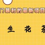 冷门暴力的最新项目，养生花茶，八九月份的红利期马上到来，两个月10w不是梦