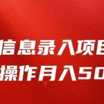信息录入返佣项目，小白无脑复制粘贴，月入5K+