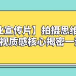 （8199期）【企业 宣传片】拍摄思维提升专业影视质感核心揭密一课搞定