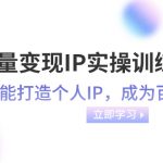 （8134期）流量变现-IP实操训练营：新手也能打造个人IP，成为百万 博主（46节课）