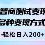（8049期）智商测试变现，轻松日入200+，几分钟一个视频，多种变现方式（附780G素材）