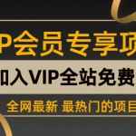 （7997期）B站引流教授级讲解，细节满满，日引流100+精准粉不是问题