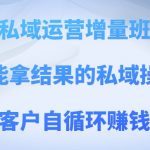 私域运营增量班，培养能拿结果的私域操盘手，打造客户自循环赚钱系统