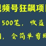 日收款500笔，纯利润3000+，视频号狂飙项目，会简单剪辑就能做【揭秘】