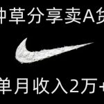 靠图文种草分享卖A货潮鞋，每天一小时，单月收入2万+【揭秘】