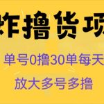 王炸撸货项目，单号0撸30单每天，多号多撸【揭秘】