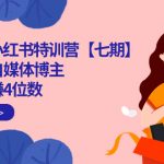（7334期）100天-小红书特训营【七期】带你做自媒体博主 每月多赚4位数  IP账号全指南