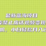 （7276期）最新蓝海项目，靠禁止废话视频变现，一部手机，小白轻松月入过万！