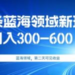 AI头条野路子蓝海领域新玩法2.0，日入300-600＋，附保姆级教程【揭秘】