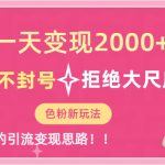 （7166期）一天收款2000元，男粉不封号拒绝大尺度-色粉全新的变现方法