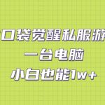 （7113期）靠口袋觉醒私服游戏，一台电脑，小白也能1w+（教程+工具+资料）