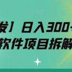 【全网首发】日入300+抖音引流软件项目拆解【揭秘】