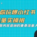 （7041期）5天带你玩爆小红书流量实操班，小红书种草是内容营销的重要流量入口