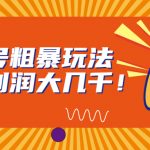 （6941期）视频号粗暴玩法，一天利润大几千！