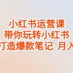 （6921期）小红书运营课，带你玩转小红书，轻松打造爆款笔记  月入过万