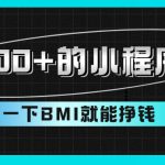 （9618期）日入300+的小程序项目，测一下BMI就能挣钱